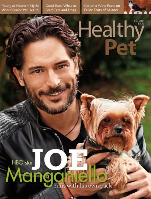 HealthyPet-Fall-2011-Front-Cover.jpg